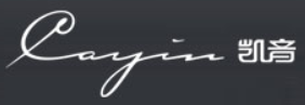 凯音 Cayin logo