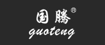 国腾 guoteng logo