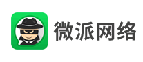 微派网络 logo