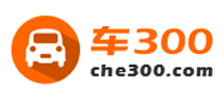 车300 logo