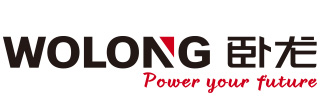 卧龙电气 WOLONG logo
